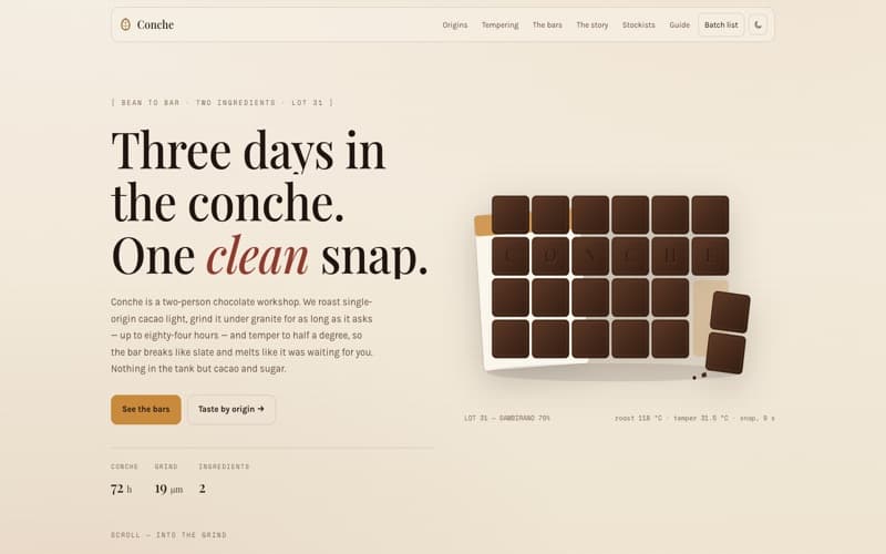 Conche template — homepage preview